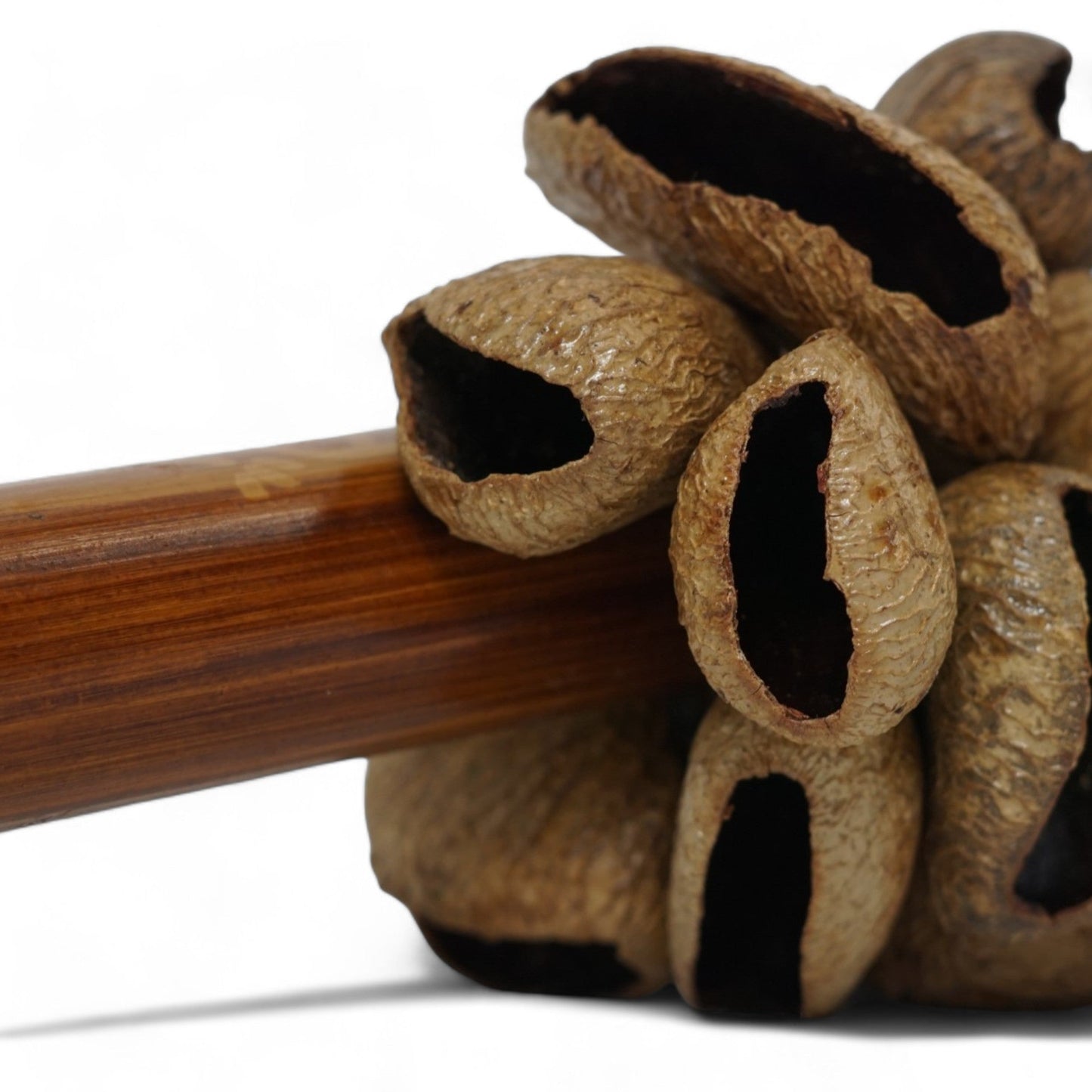 Musical Shakers | Gmp Pangi Shaker W/ Bamboo Handle Shak 12 | Groove Masters Percussion