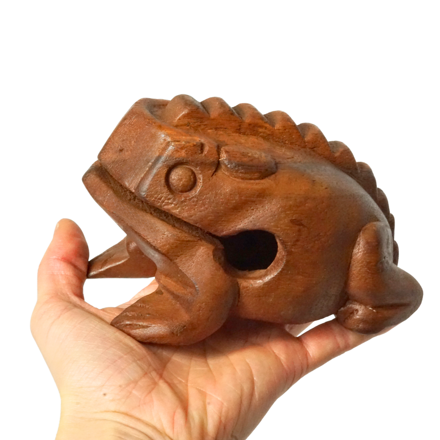 GMP 5" wooden frog guiro B-FROG5L
