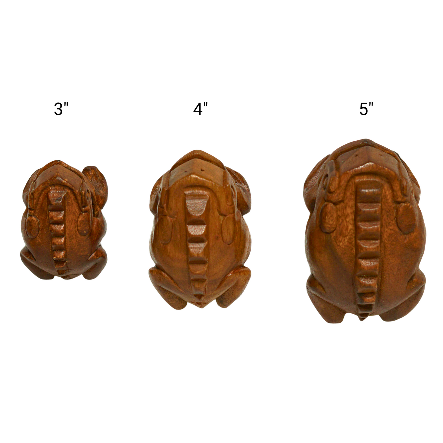 GMP Frog Guiro Dark-Stained - FROG-S-(8 Sizes) - Groove Masters Percussion